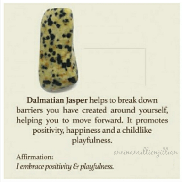 Natural Dalmatian Jasper Stone Beaded Bracelet - Picture 3 of 3